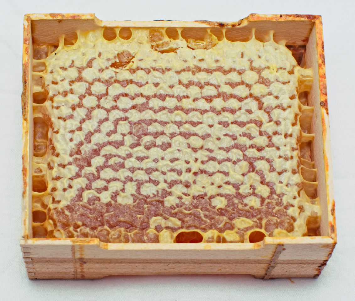 top view of open honeycomb beebox